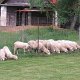 IMG_1215