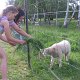 IMG_1216